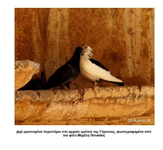 Όλα για τον έρωτα