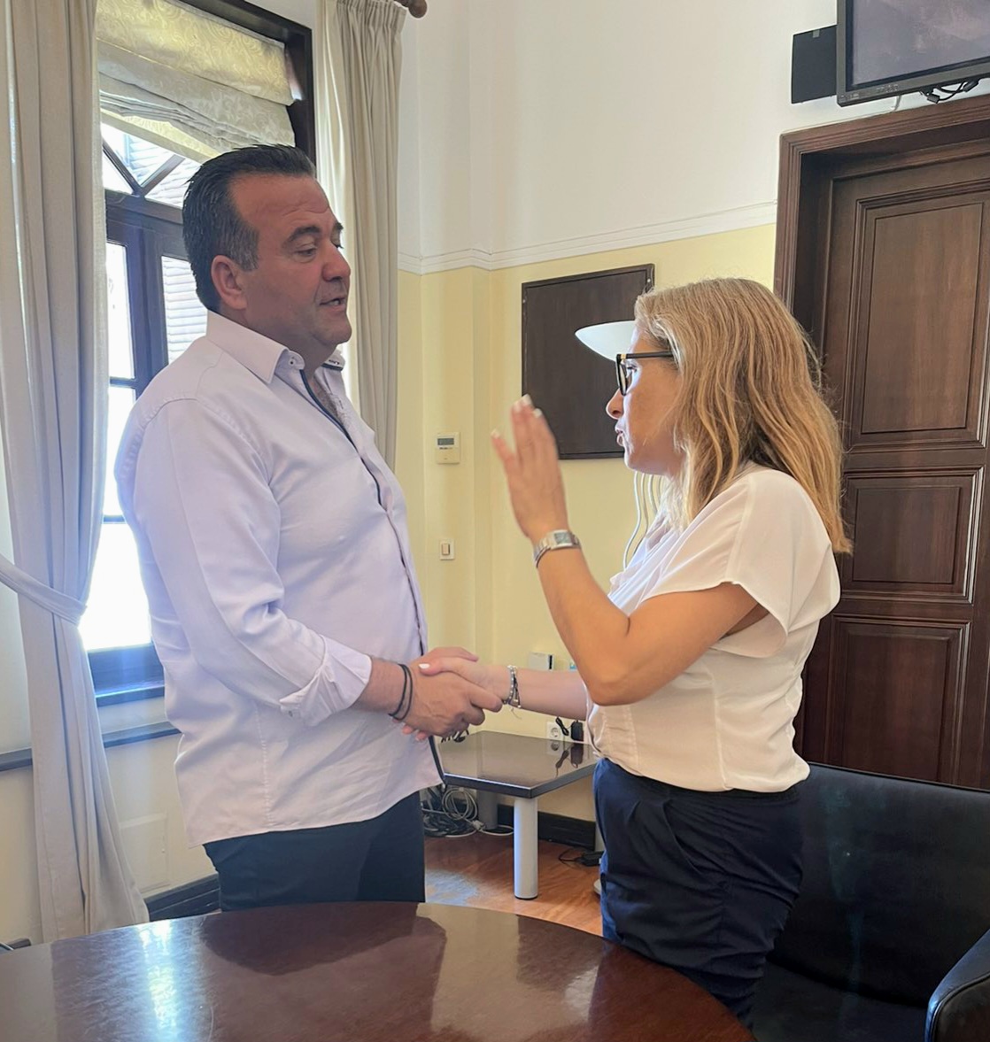 Πιτσικάκης Κοζυράκη