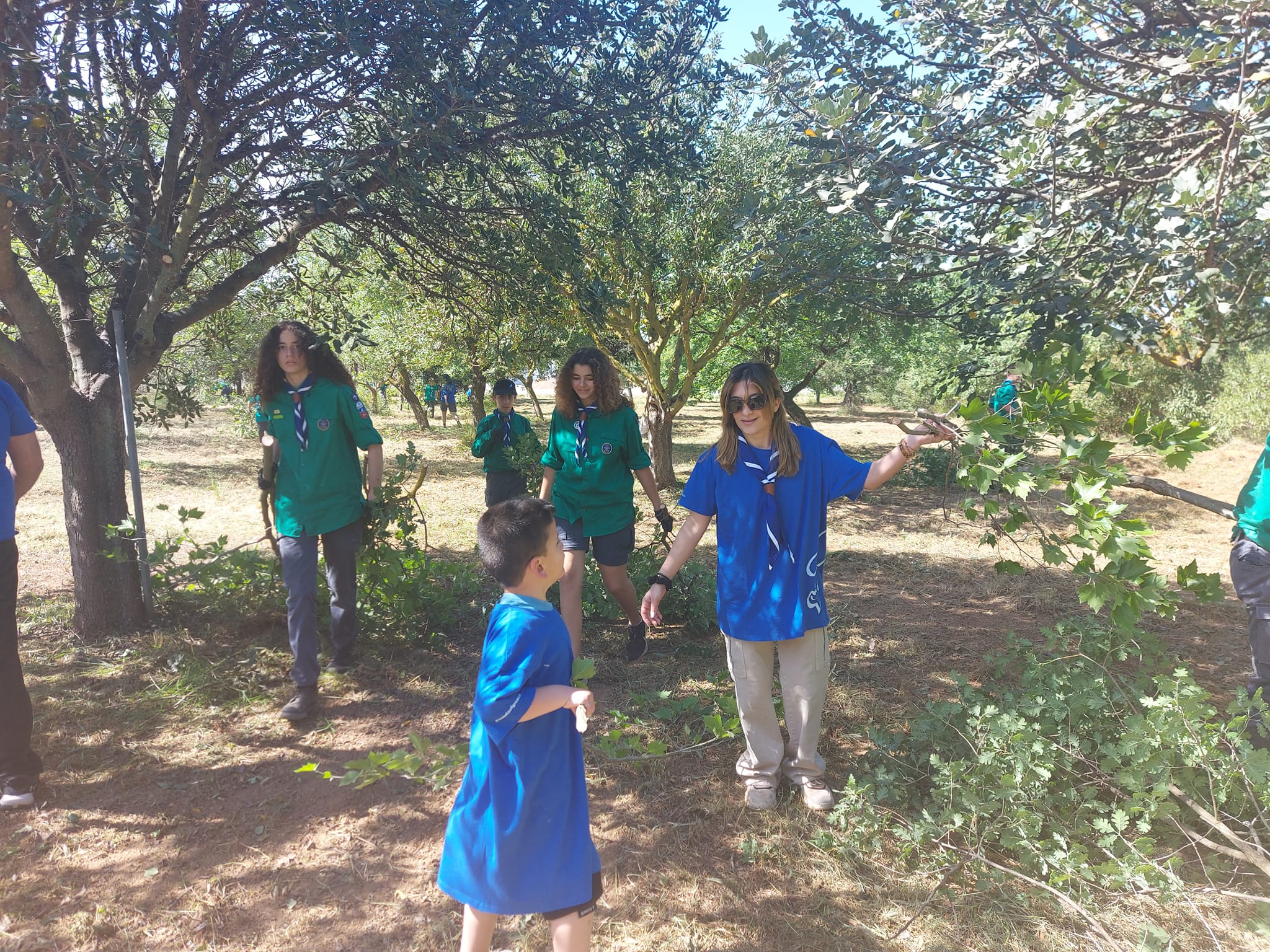 Δάσος Πρόσκοποι Λιβάδα Θραψανό Ηράκλειο