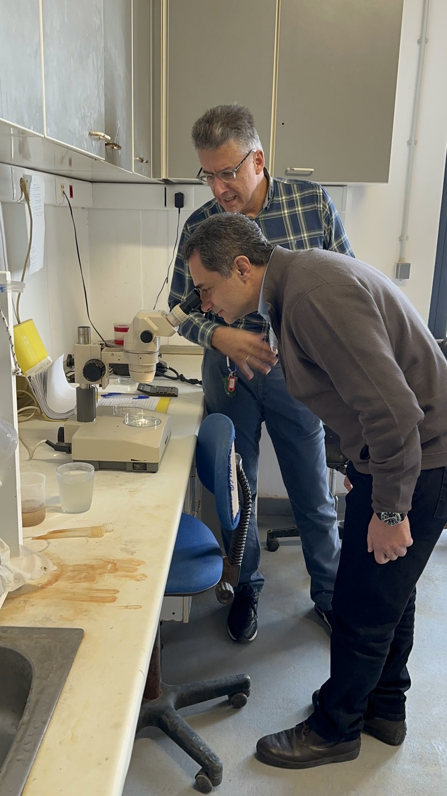 ελκεθε Σενετάκης