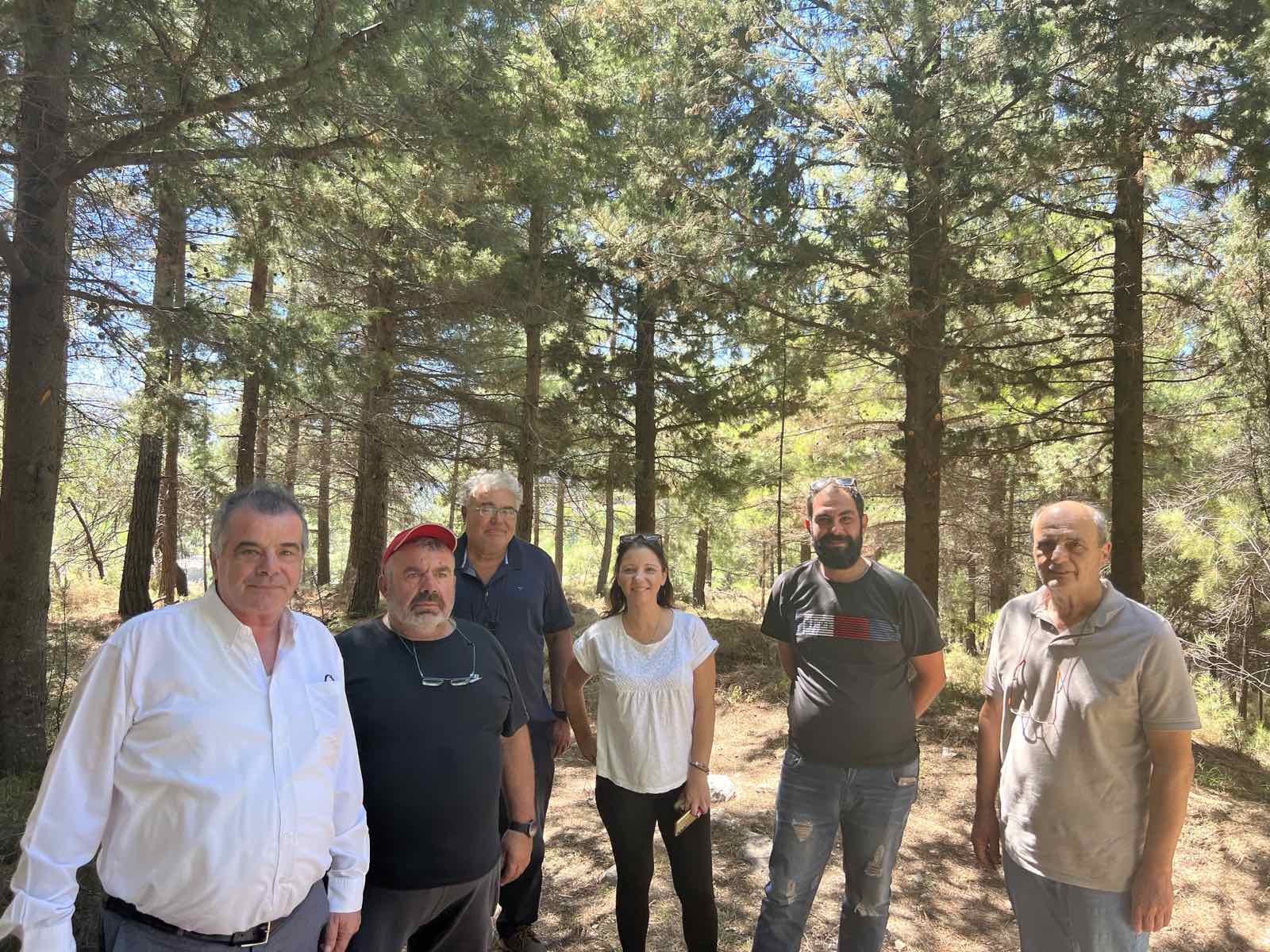 Δασοτεχνικές εργασίες στο δάσος του Κισσού