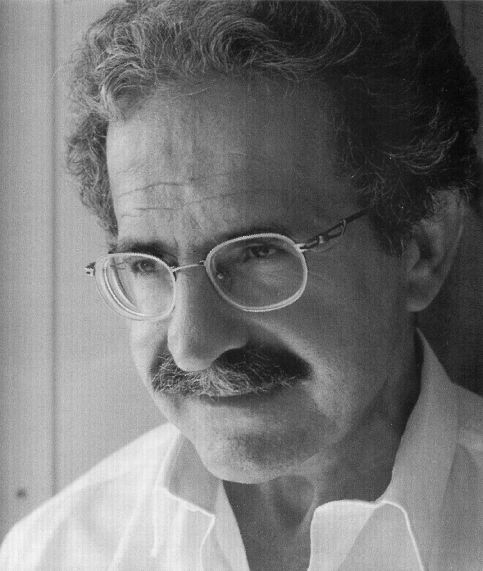 Μίμης Ανδρουλάκης