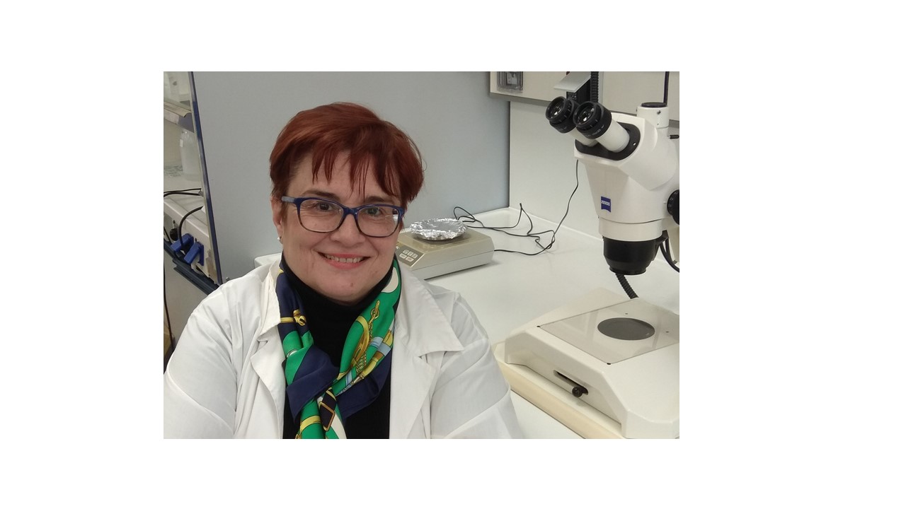 Μητράκη ΤΕΤΥ