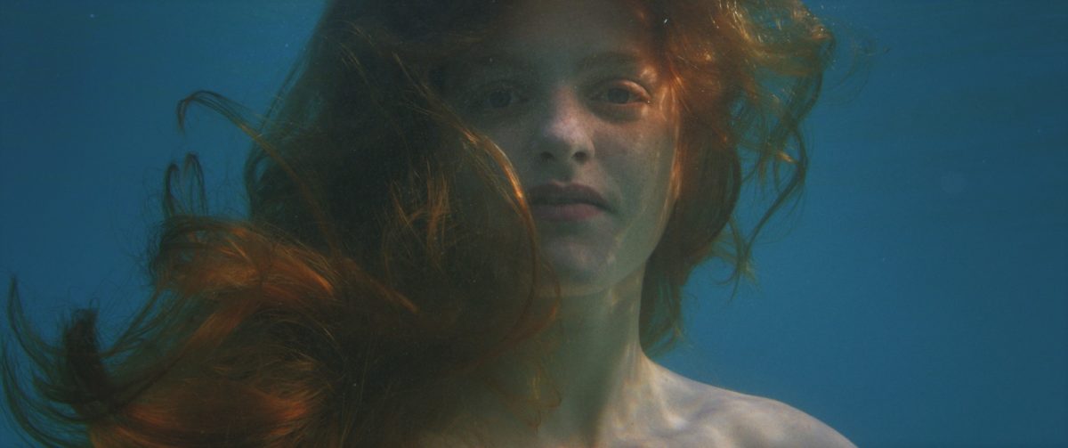 nothing holier than a dolphin ταινία μικρού μηκους ελλάδα φεστιβάλ