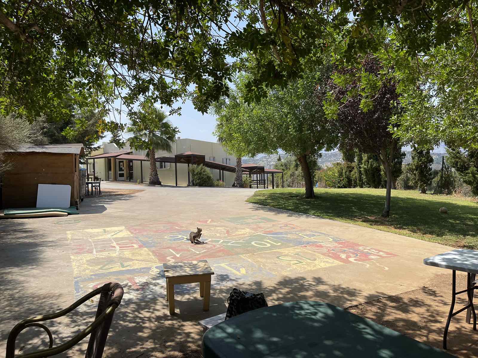 Πιτσικάκης