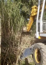 Ρέματα Δήμος Φαιστού Ηράκλειο Καθαρισμός