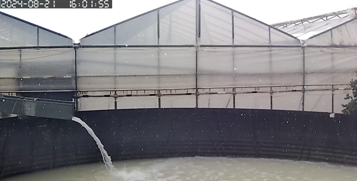 Φωτογραφία από ΜΕΤΕΩΚΡΗΤΕΣ