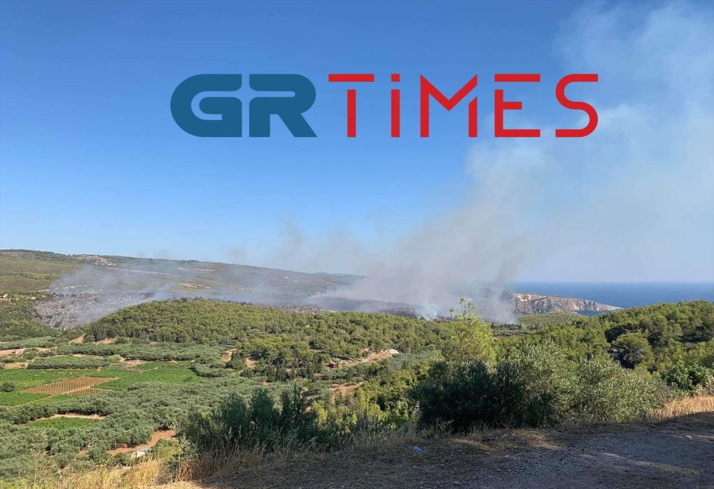 φωτια Ζάκυνθος