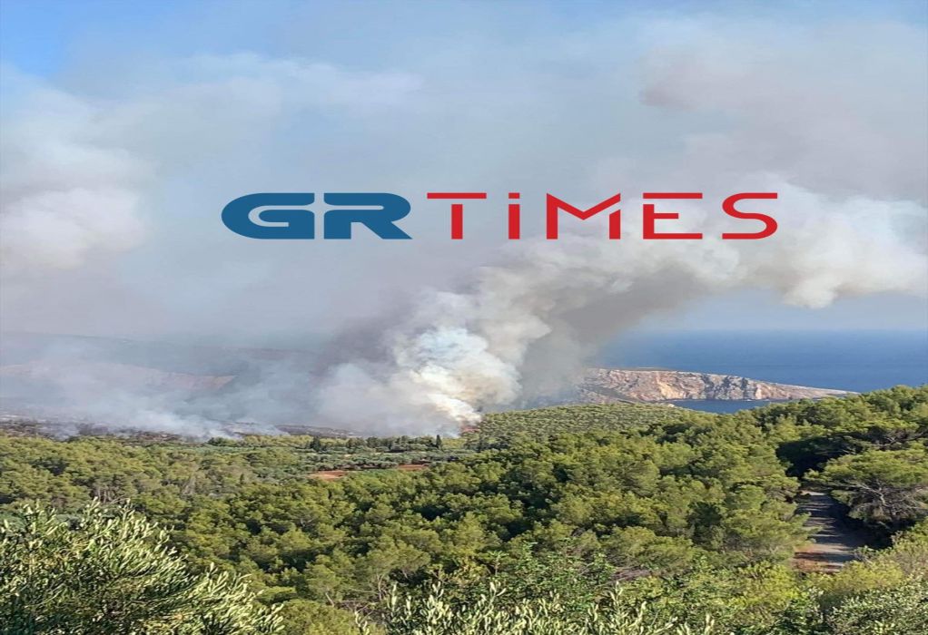 φωτια Ζάκυνθος