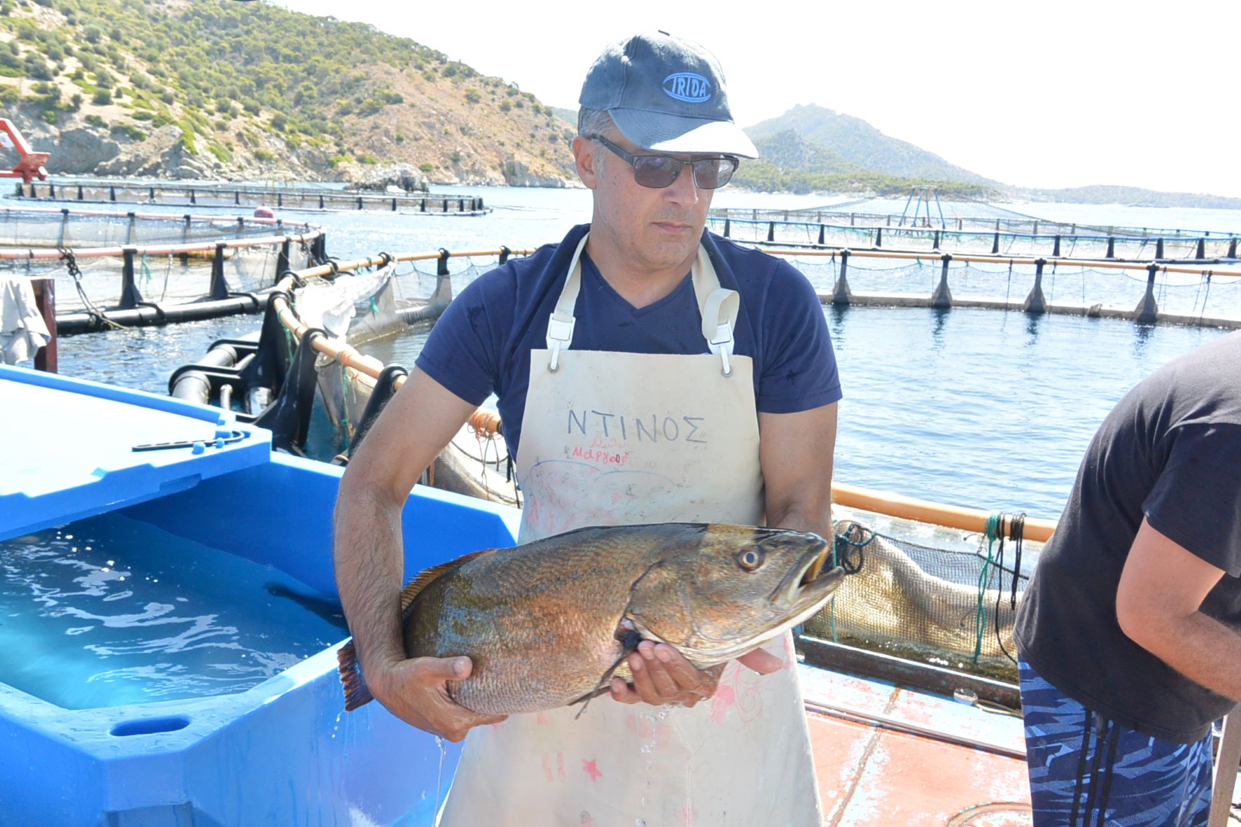 ελκεθε κρανιός