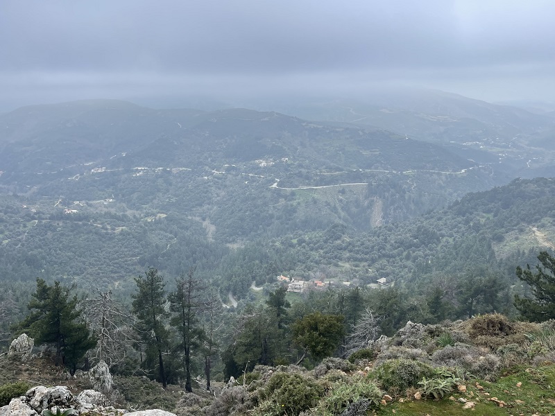 δημος πλατανιά