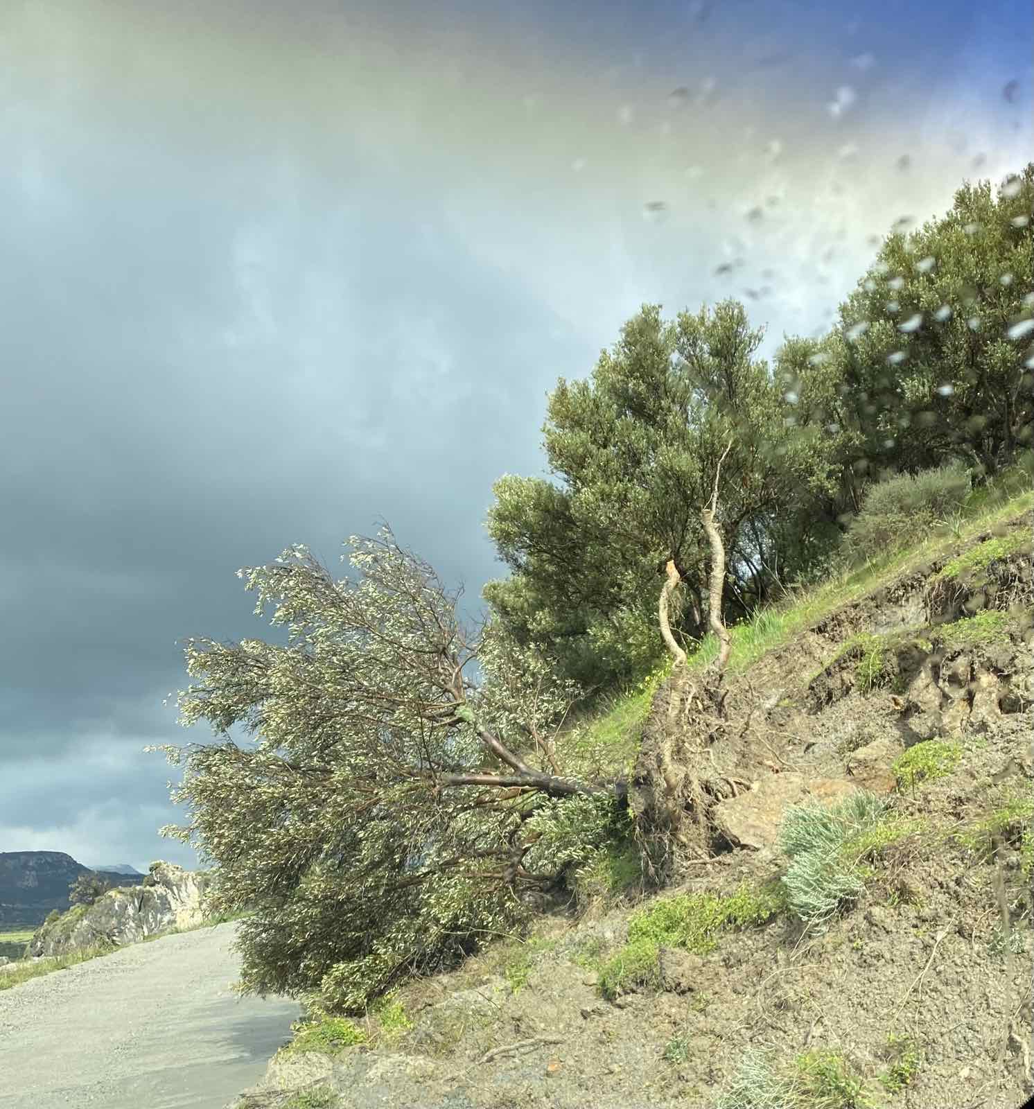 χιονι αμπέλια