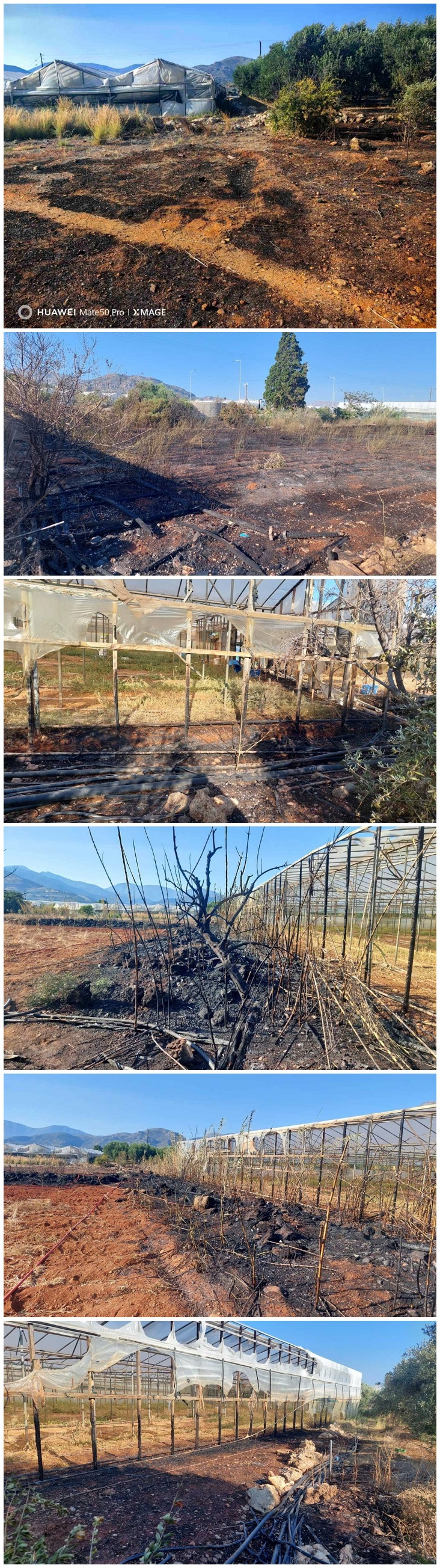 φωτιά ιεράπετρα