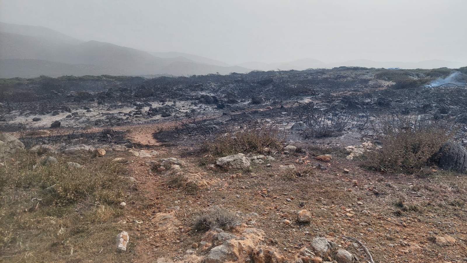 Βλήμα Μάλια Πυρκαγιά Ηράκλειο