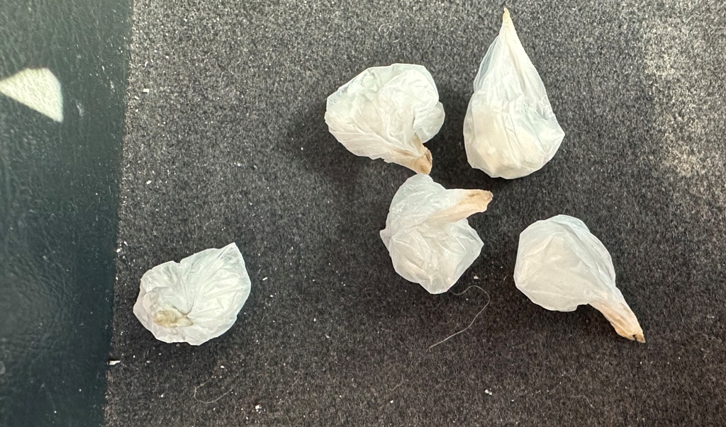 ναρκωτικά ΙΧ