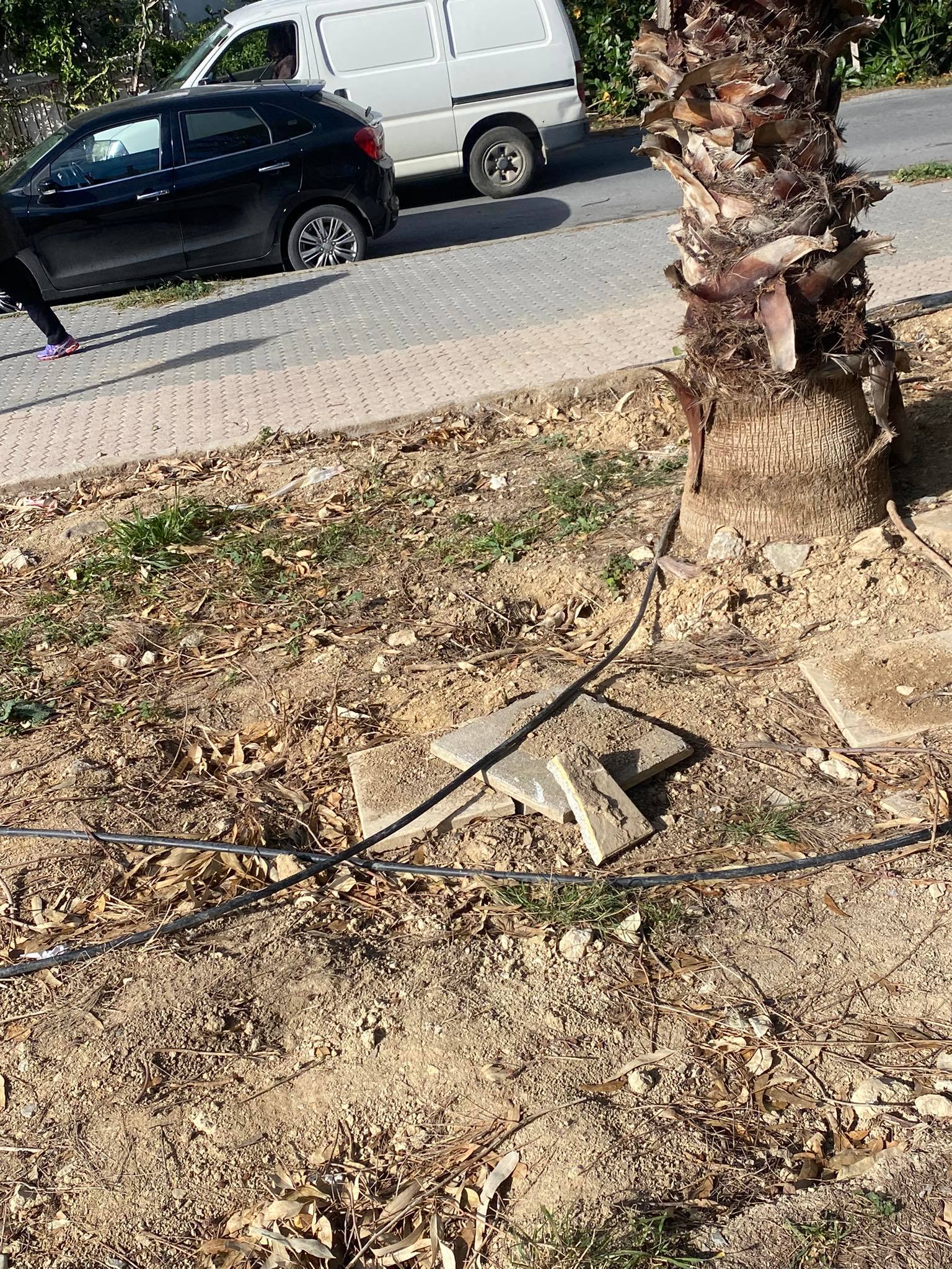 πάρκο-κηπούπολη