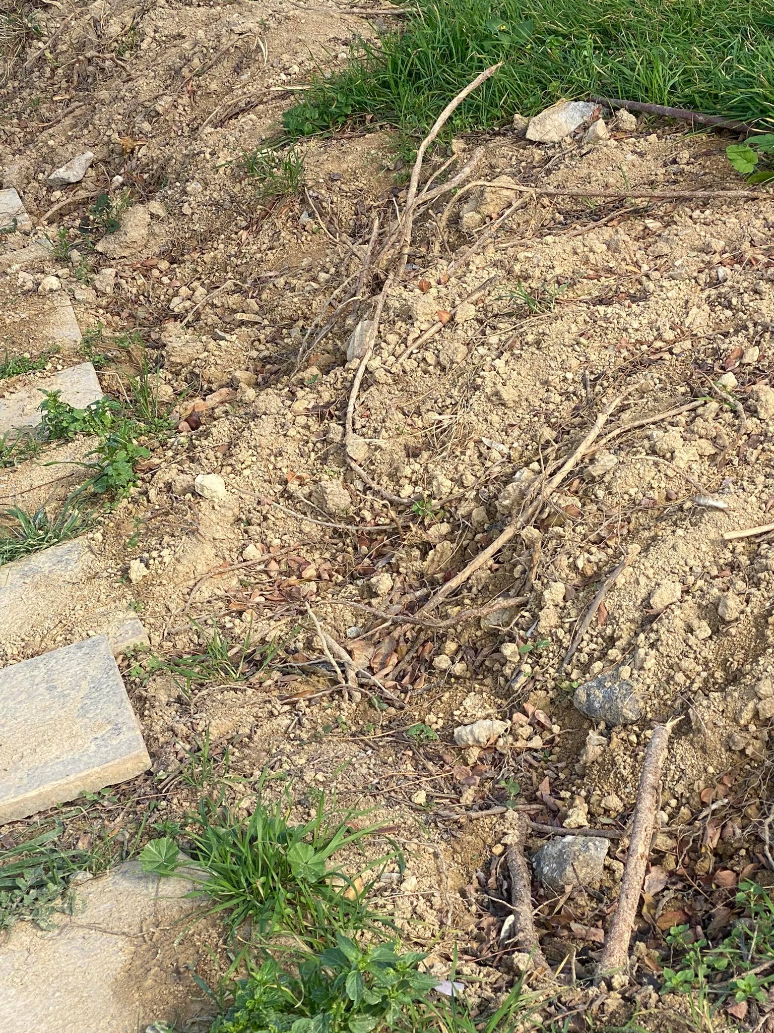 πάρκο-κηπουπολη