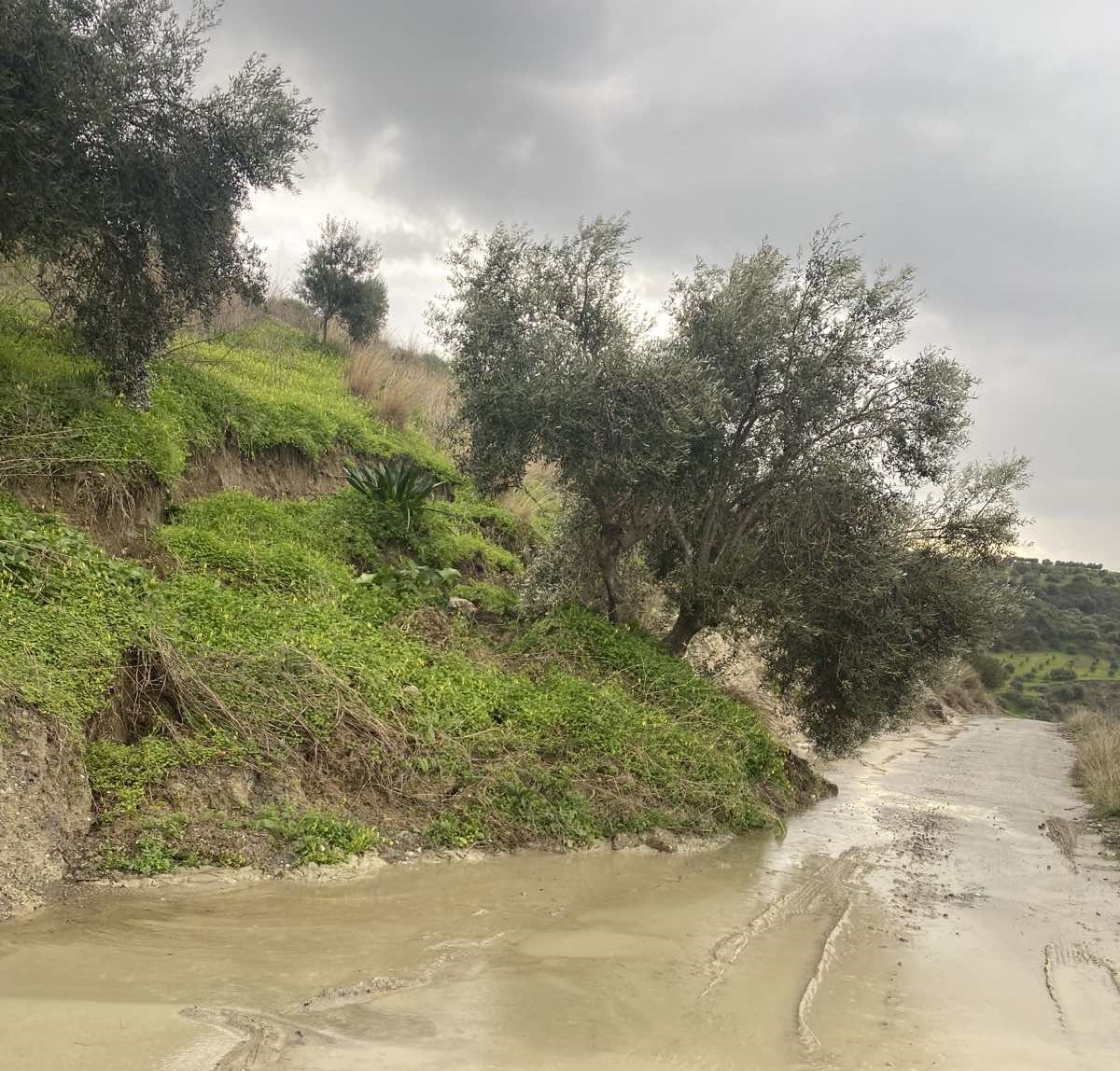 σύλαμος ζημιές