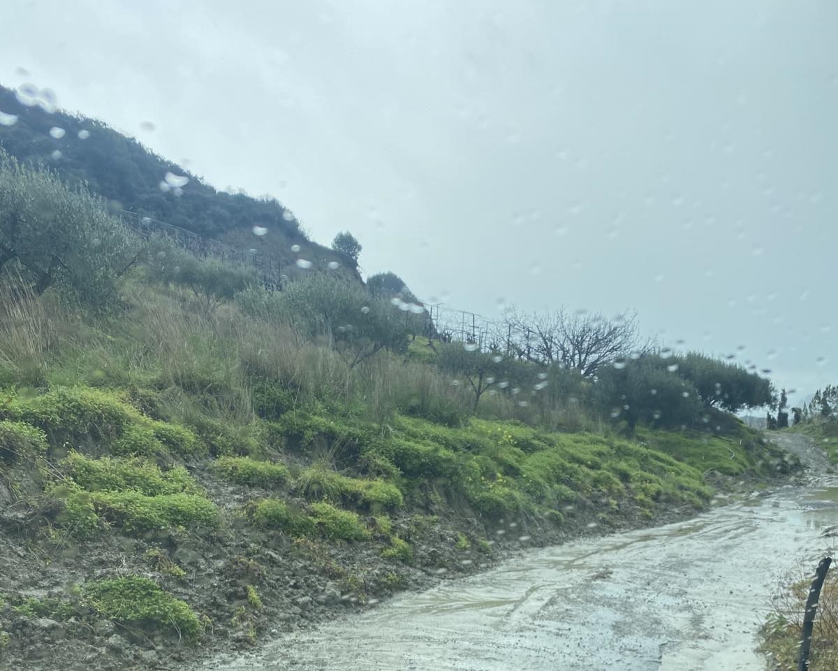 σύλαμος ζημιές