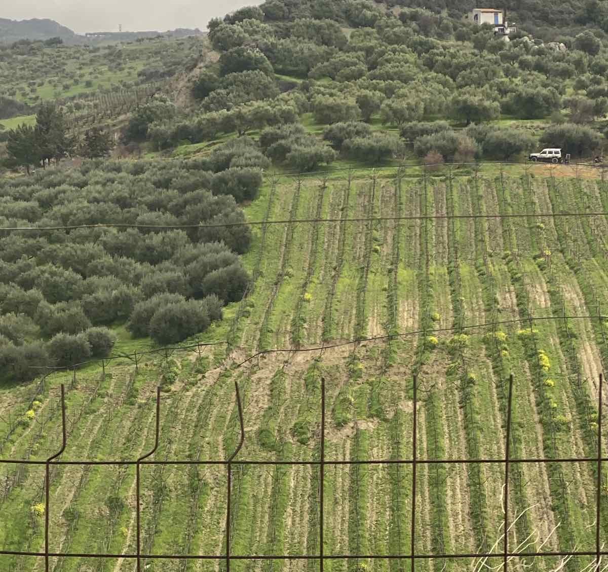 σύλαμος ζημιές