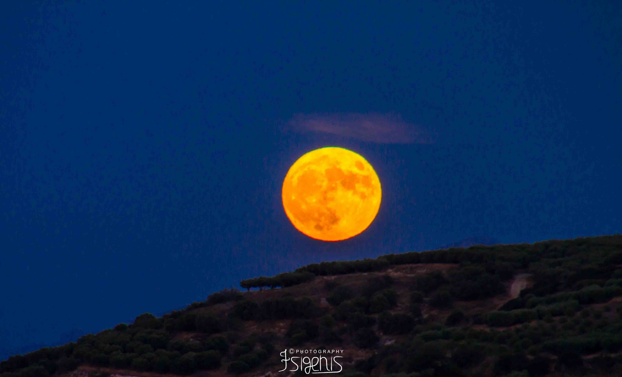 Γιάννης Τσιγκένης