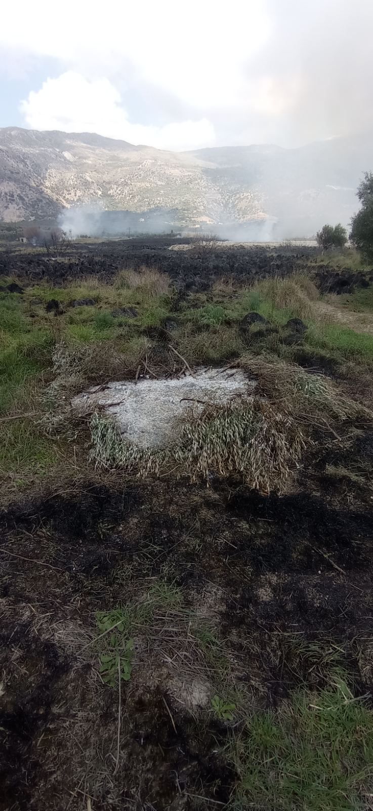 φωτιά βιάννος σύλληψη ηράκλειο πυροσβεστική