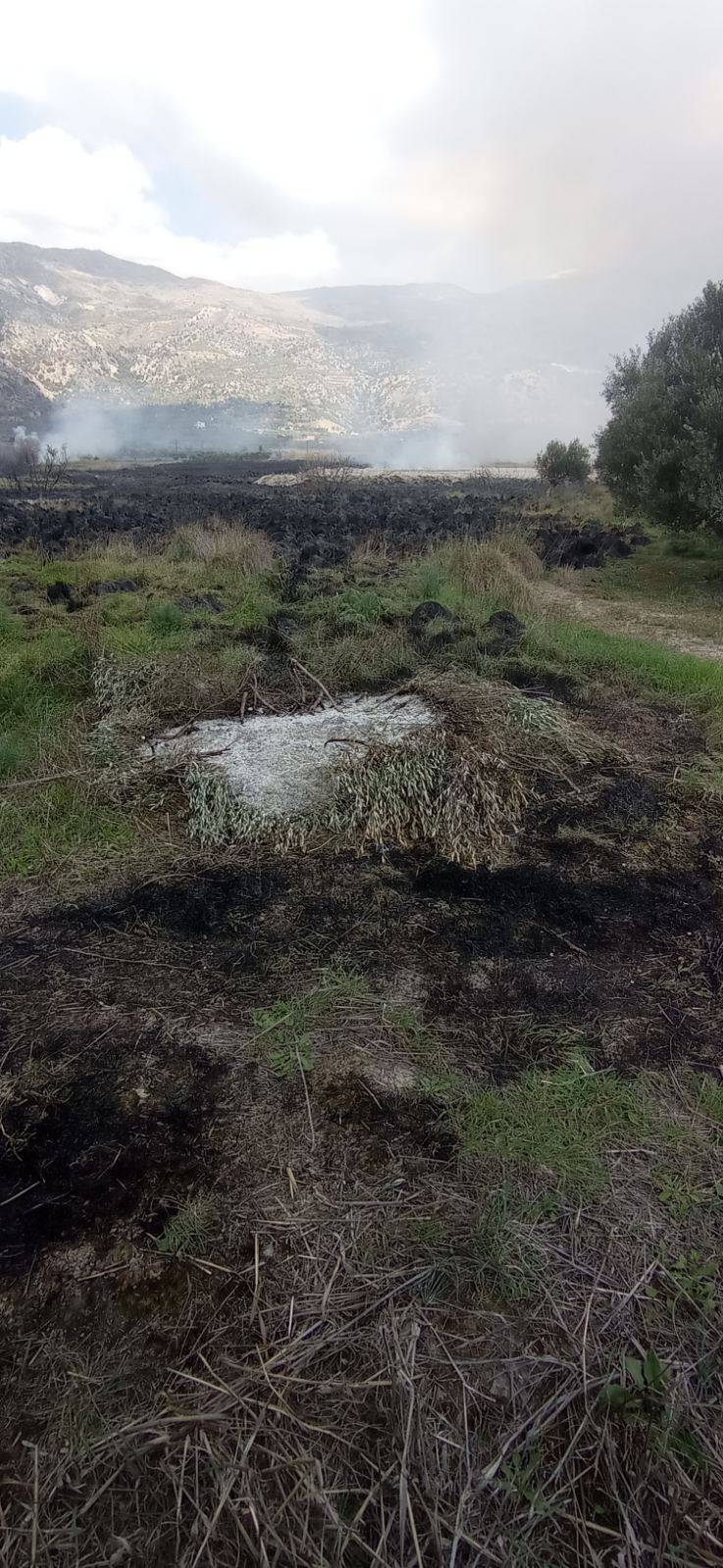 φωτιά βιάννος σύλληψη ηράκλειο πυροσβεστική