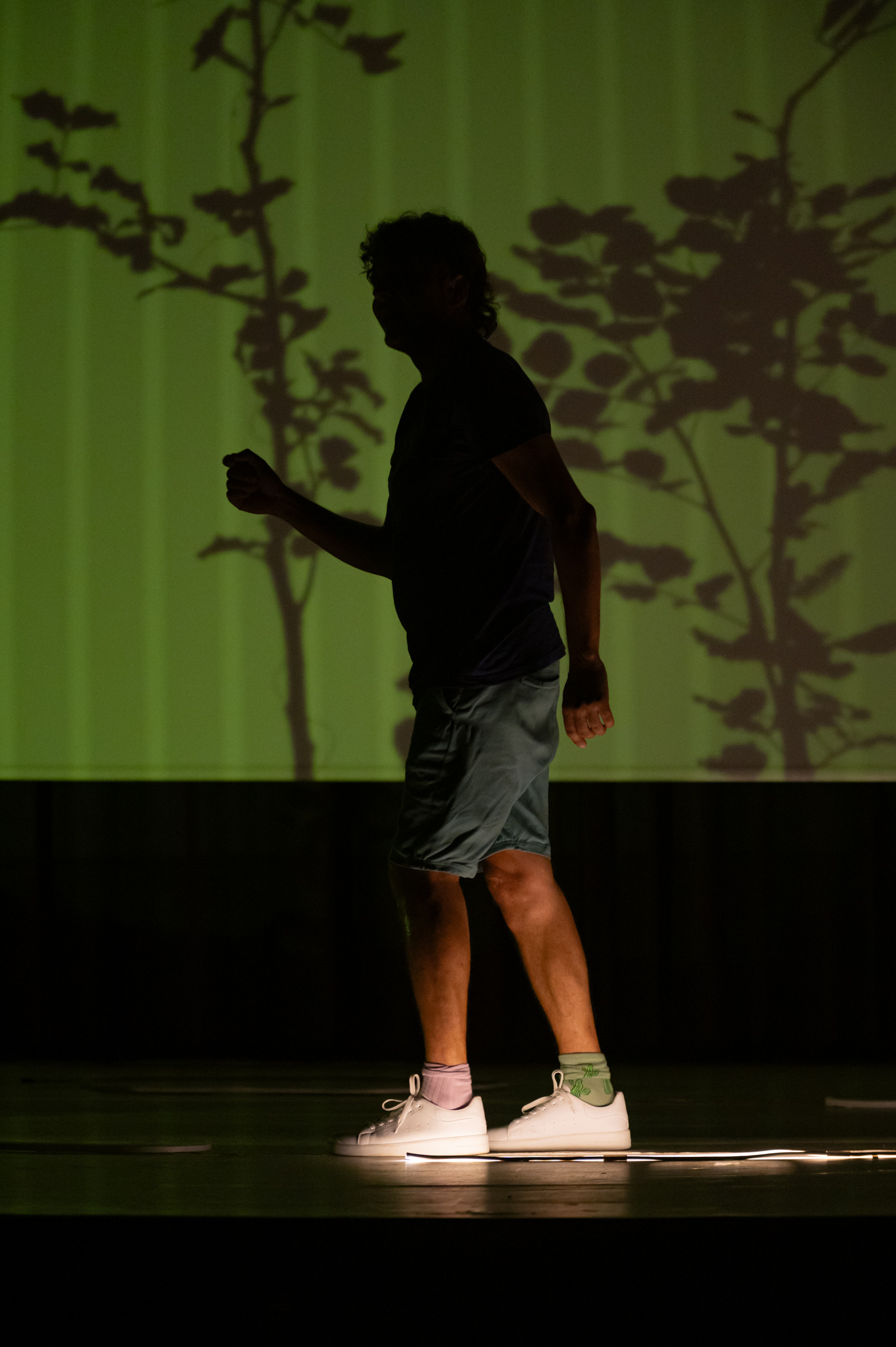 Μυστικό του Δέντρου