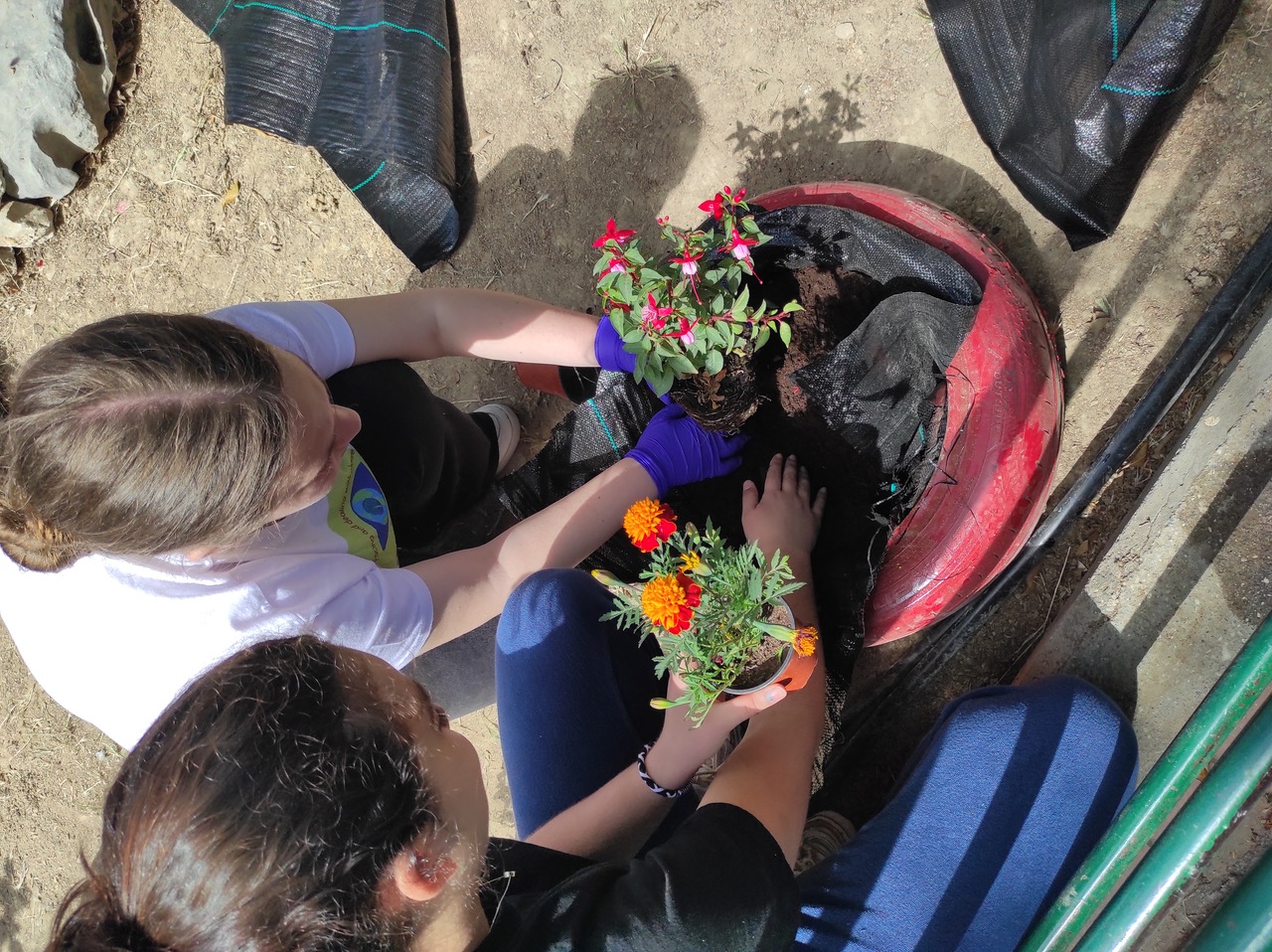 13ο Γυμνάσιο Ηρακλείου