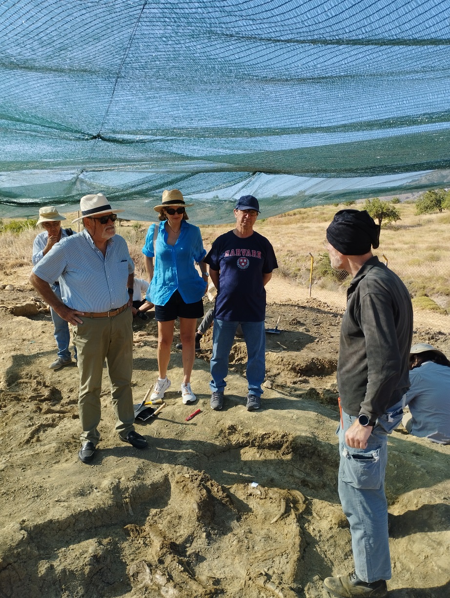 νάνοι ελέφαντες ιπποπόταμοι ελάφια οροπέδιο Καθαρό κριτσά Λασίθι