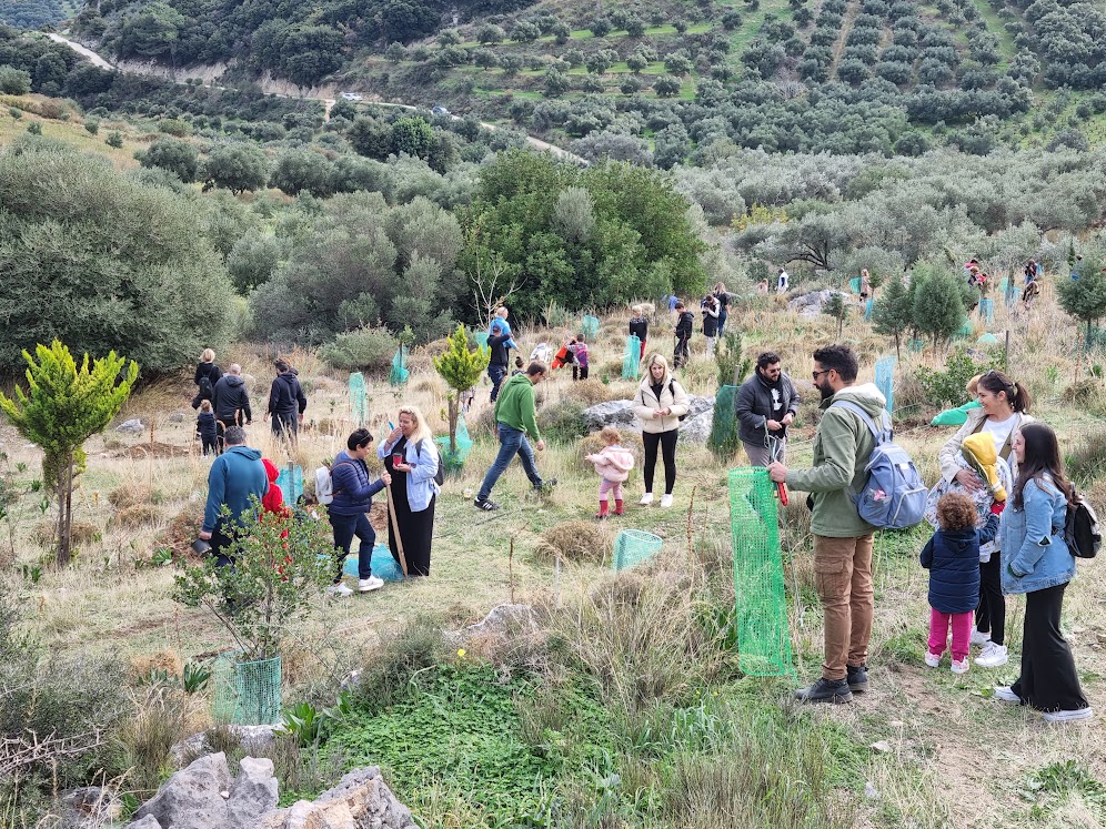 δεντροφύτευση