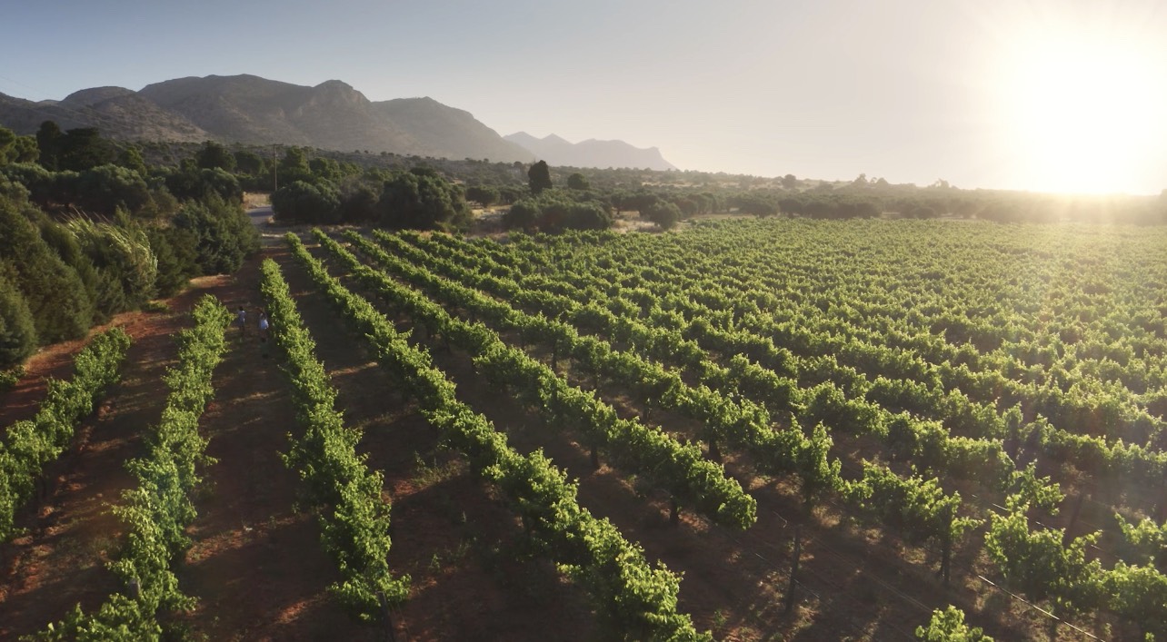ύπαιθρος αυθεντική κρήτη τουρισμός περιφέρεια παπαδουλάκης
