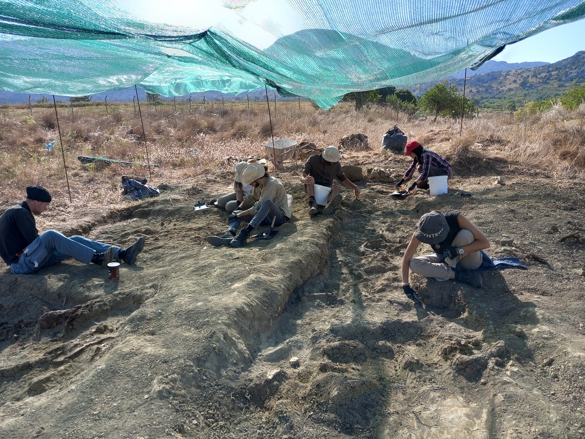 νάνοι ελέφαντες ιπποπόταμοι ελάφια οροπέδιο Καθαρό κριτσά Λασίθι