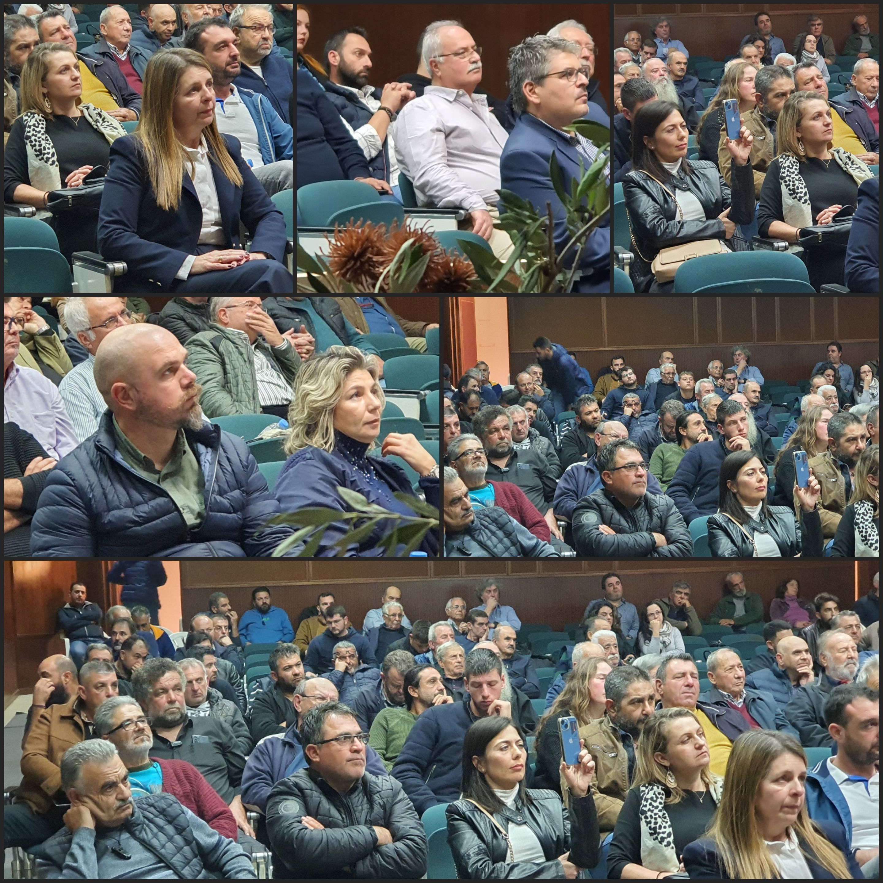 ελαιολάδο Δήμος Φαιστού εσπερίδα Ηράκλειο