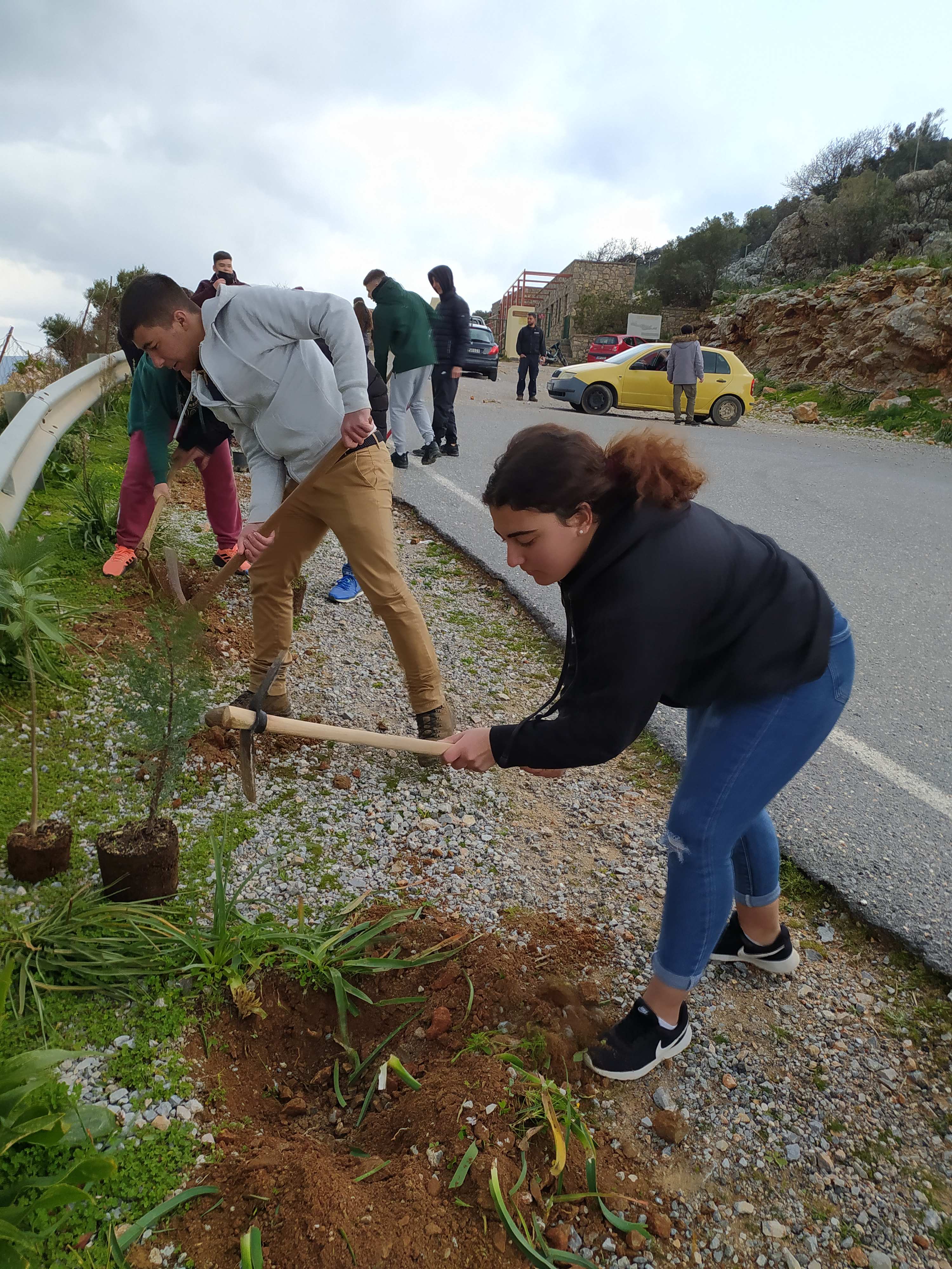 δεντροφύτευση