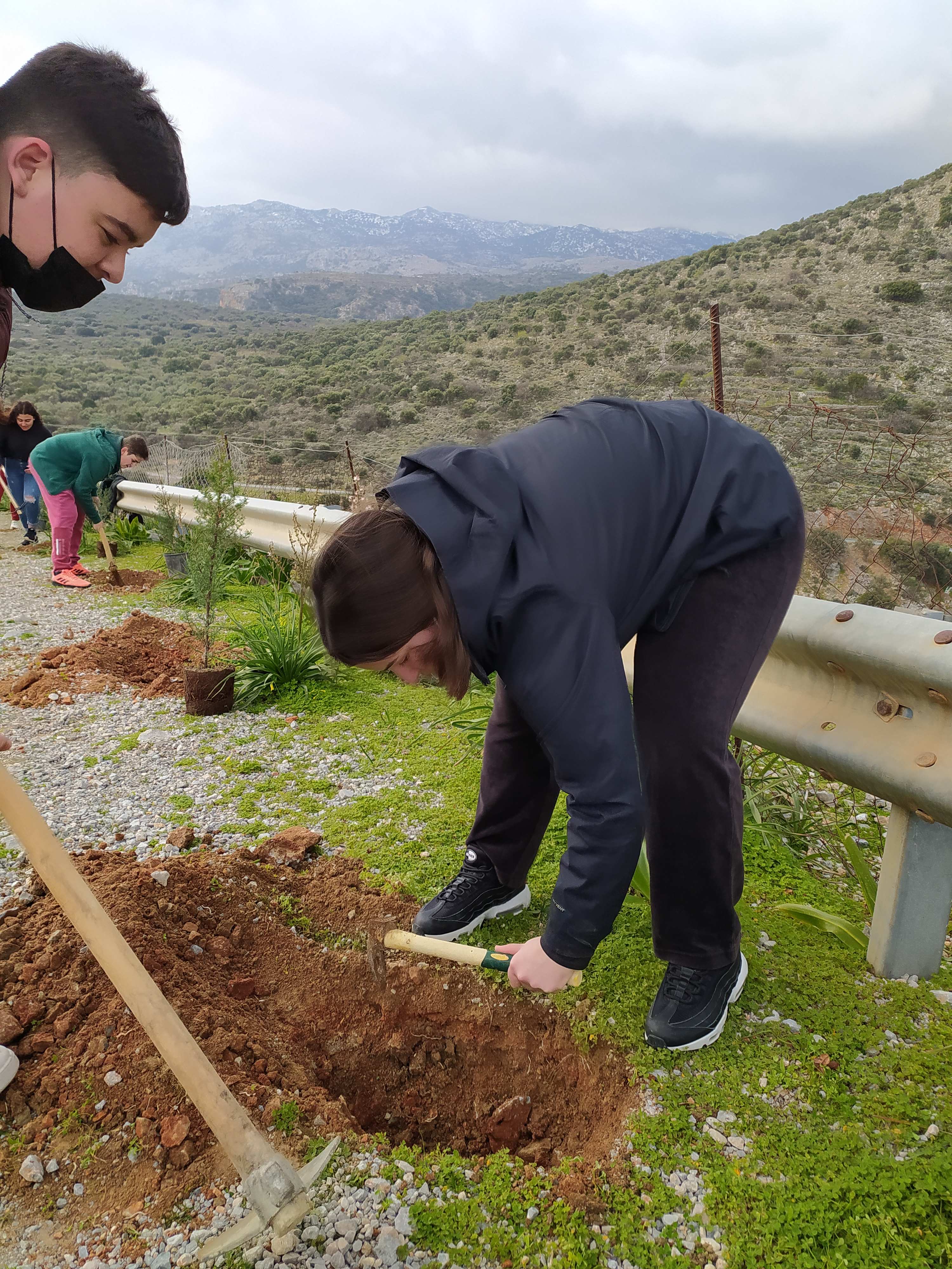 δεντροφύτευση