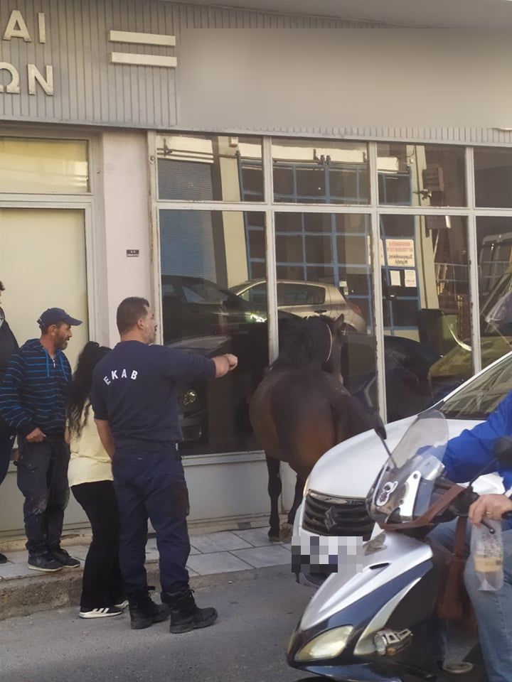 άλογο Σινάνη