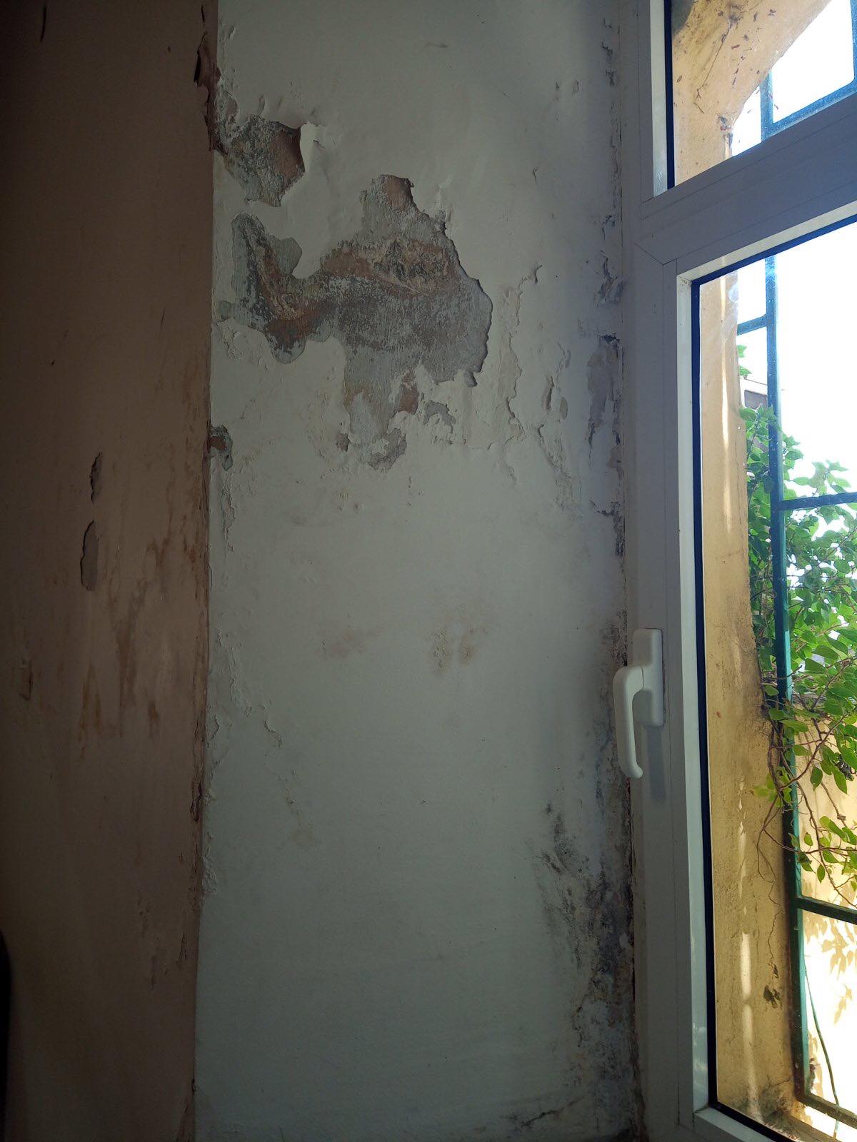 Ειρηνοδικείο Πύργου