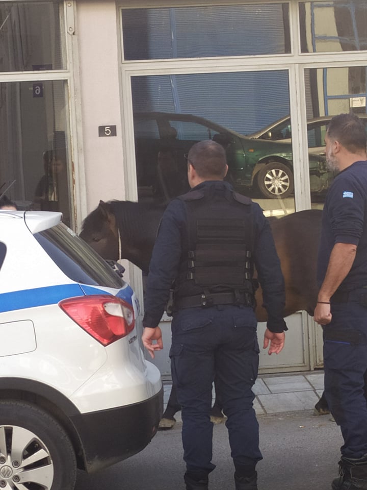 άλογο Σινάνη