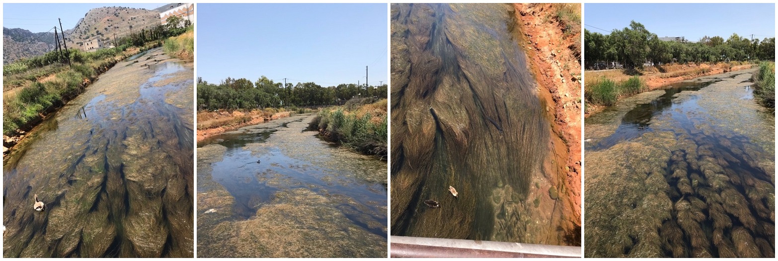 υδροβιότοπος