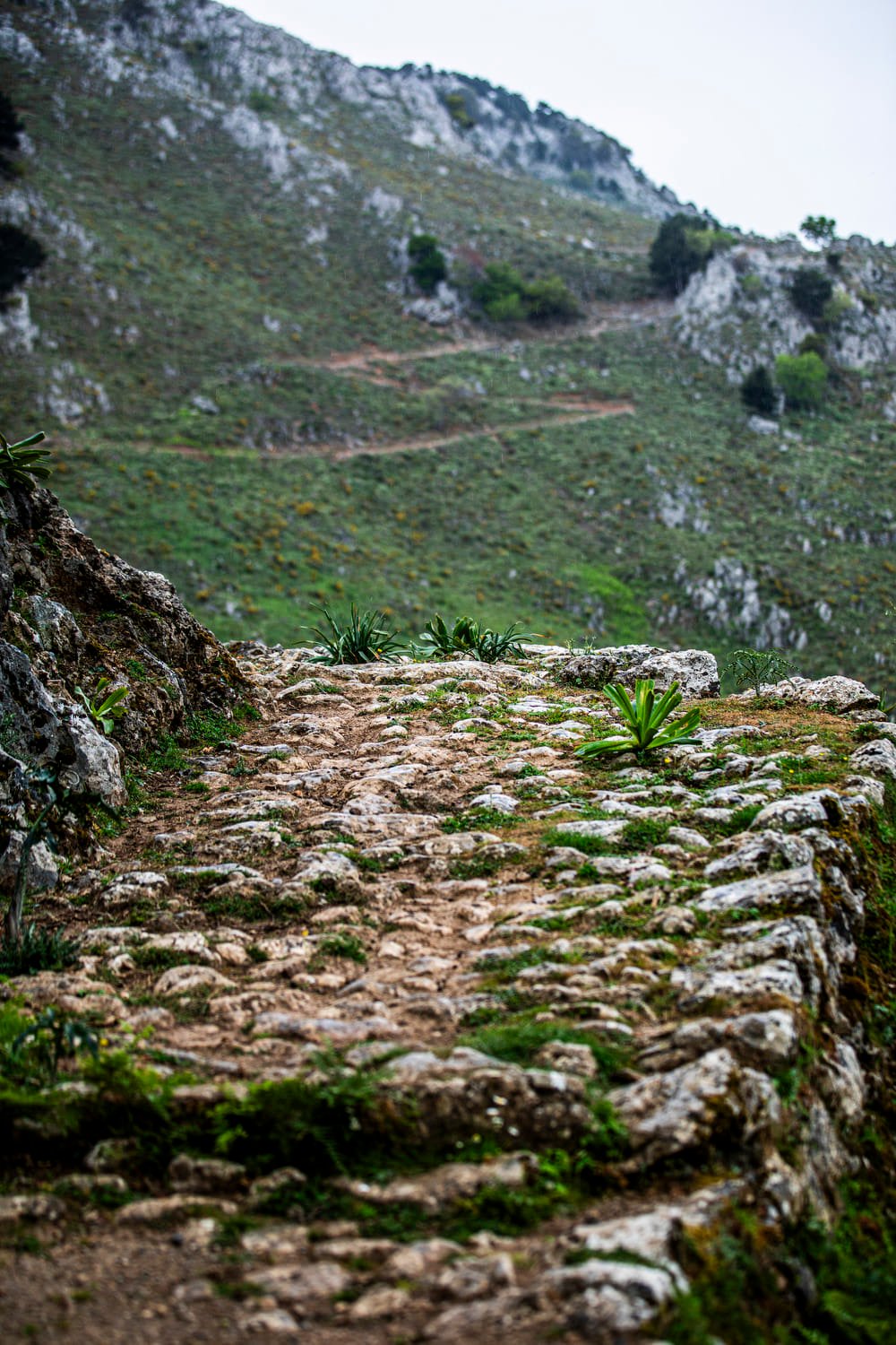 Παρουσιάστηκε το Δίκτυο Πεζοπορικών Διαδρομών Δήμου Πλατανιά