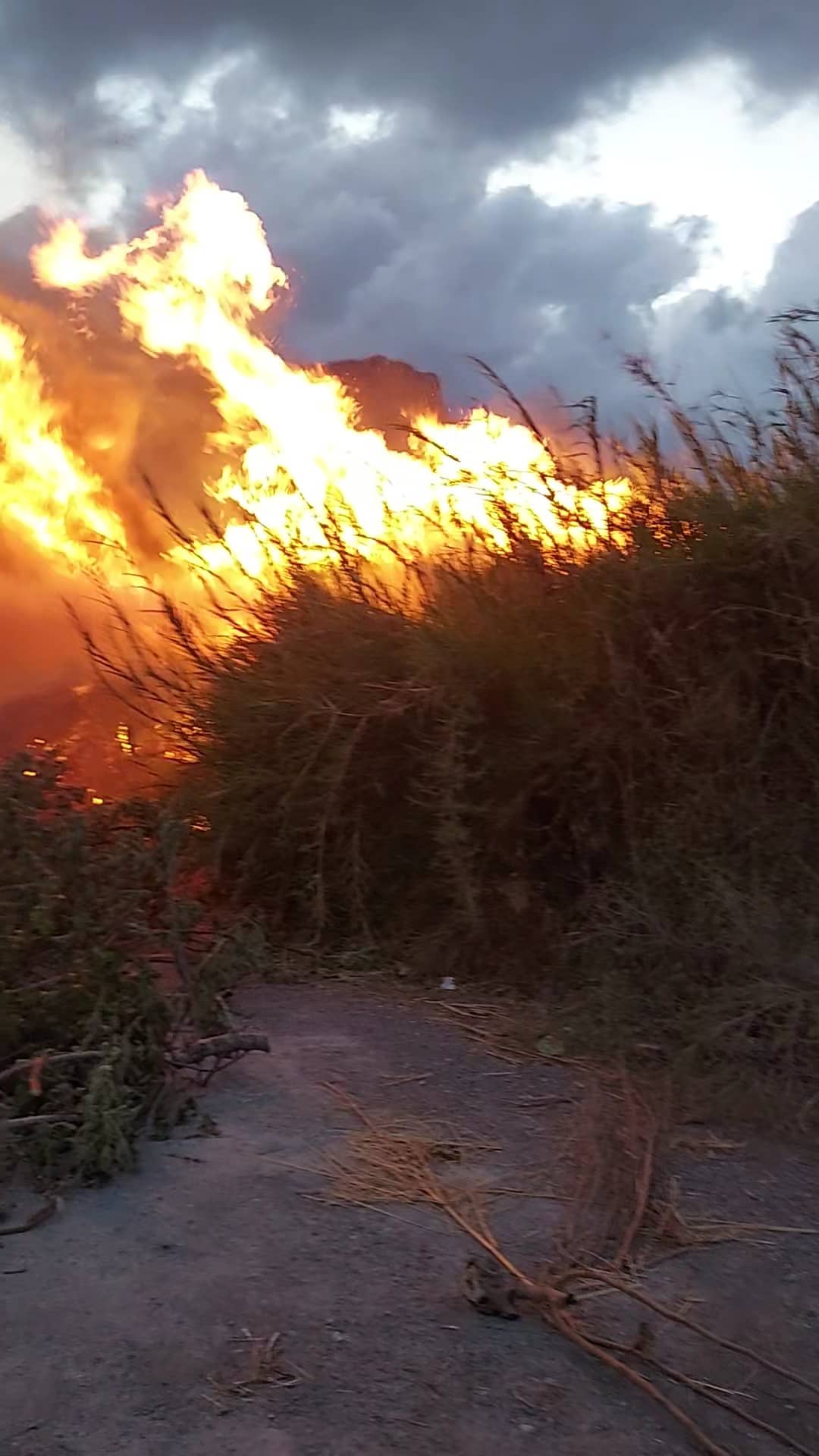 φωτιά αλμυρός