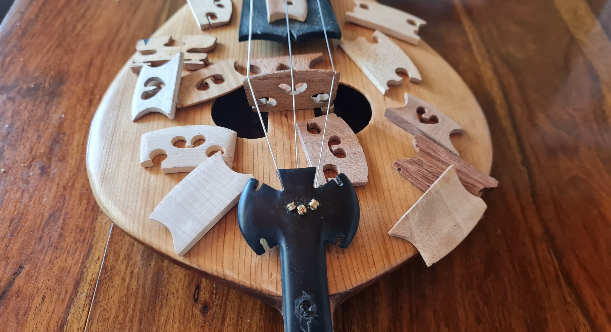 λύρα Ψαραντώνης