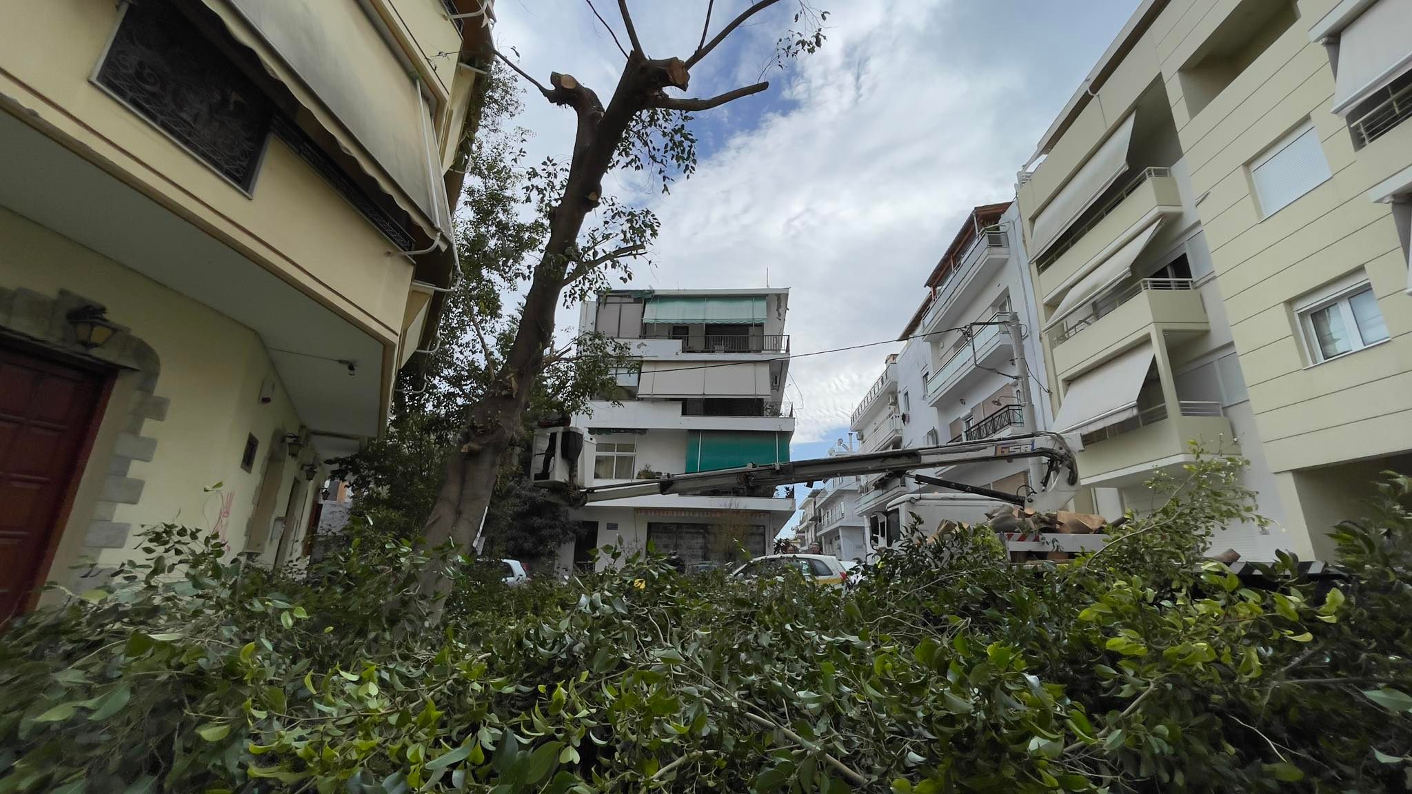 Φίκος Κοπή Δέντρο Ηράκλειο