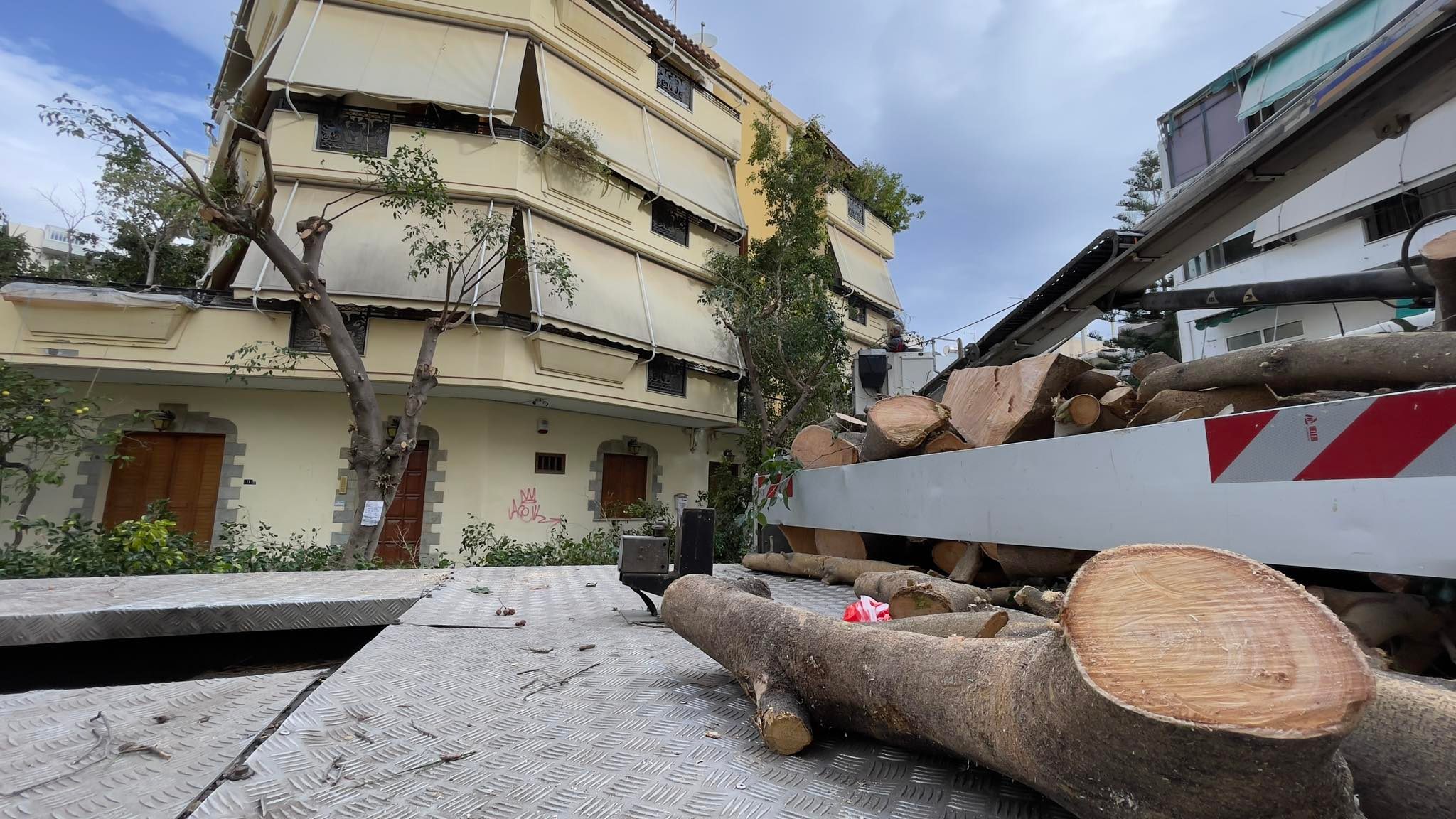 Φίκος Κοπή Δέντρο Ηράκλειο