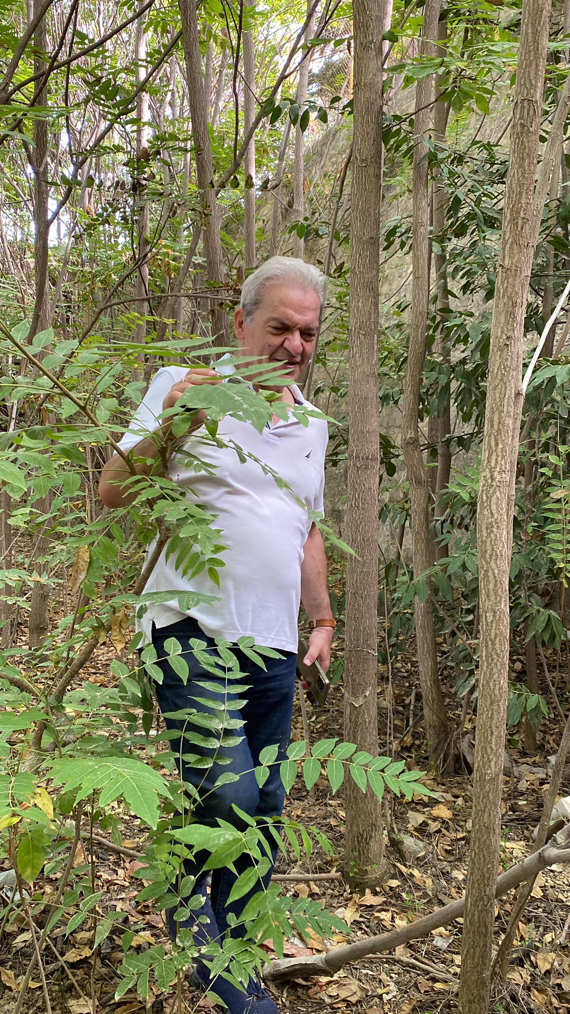 αλέξης καλοκαιρινός τείχη ηράκλειο