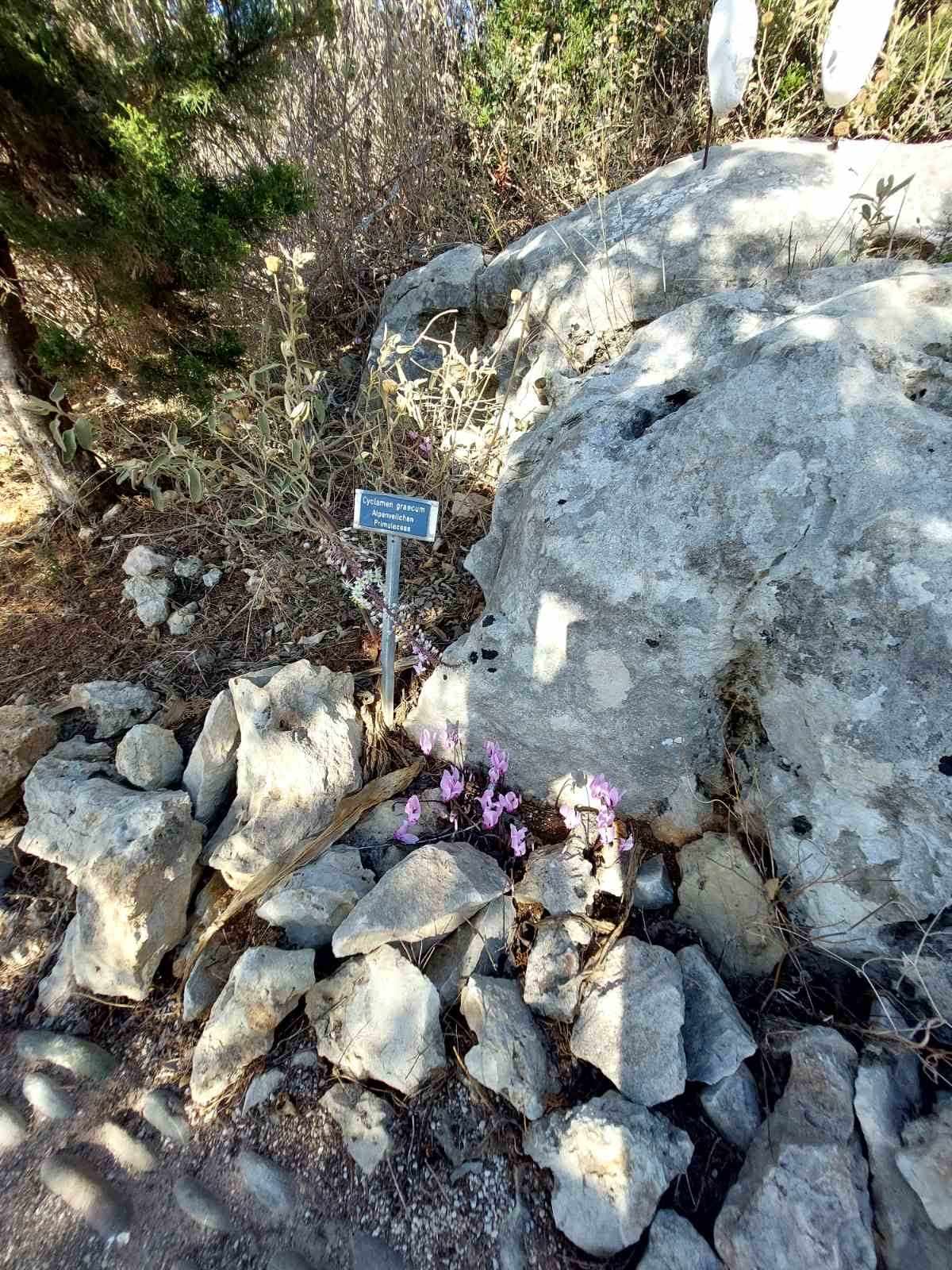 οακ κηπουροι τοπίου