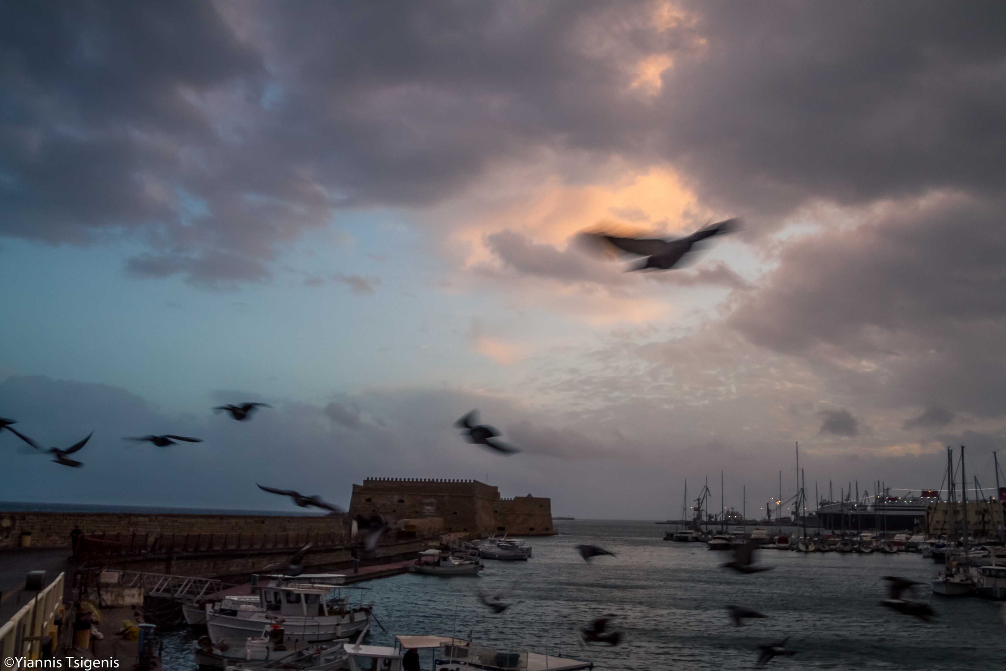 Γιάννης Τσιγκένης