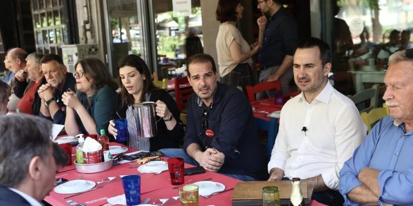 χαρίτσης κυψέλη