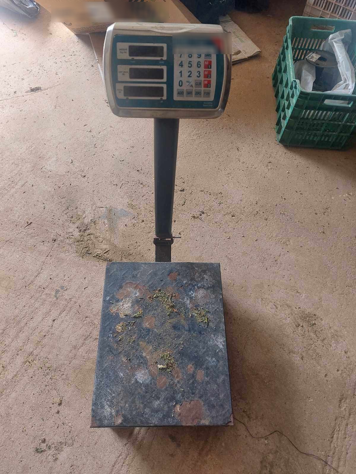 δενδρύλλια Κάνναβη Χανιά Κίσσαμος ΕΛΑΣ